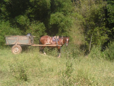 2. Ranch Angatu - Wanderung